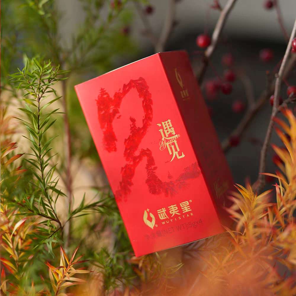 Wuyi Star "Encounter" Lapsang Souchong Black Tea