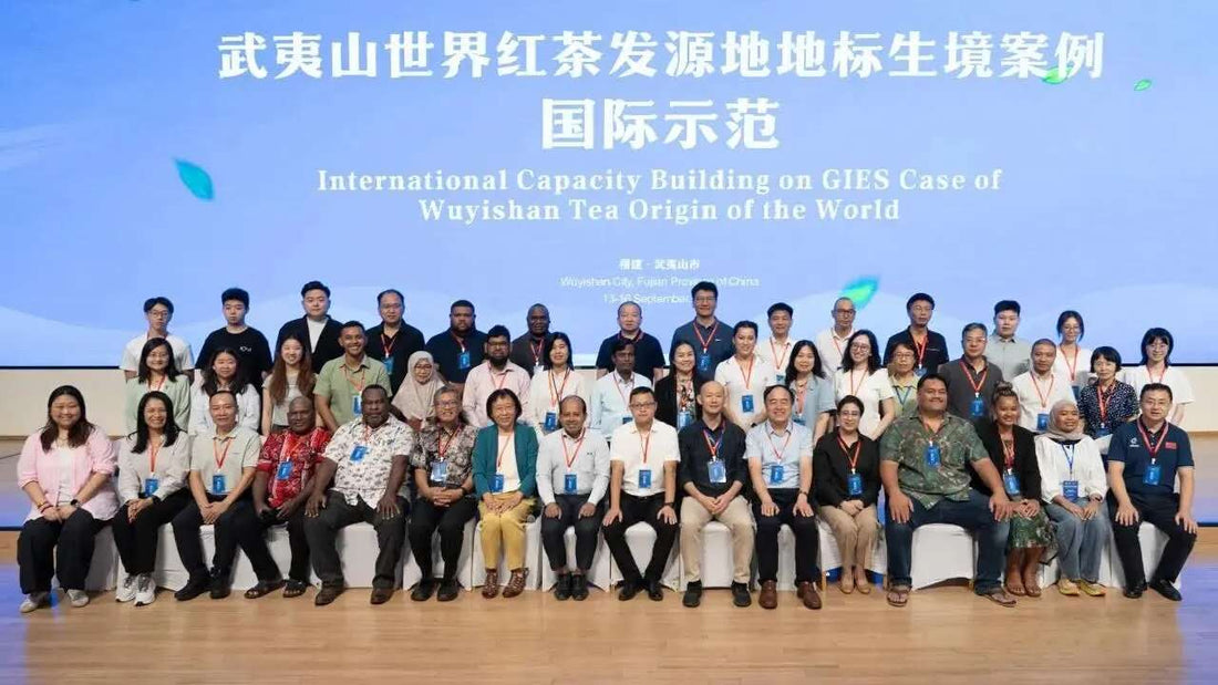 A large group photo of a diverse international delegation at a conference.