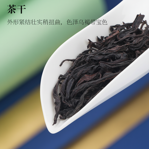 大红袍母树 – Wuyi Star Tea